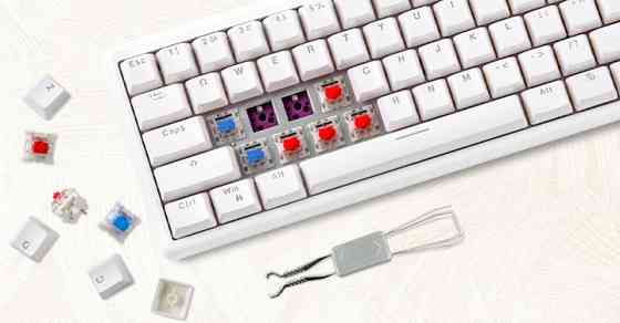 Клавіатура бездротова Motospeed SK66 Gateron Blue Hot Swap White (mtsk66wmb) Білий Харків
