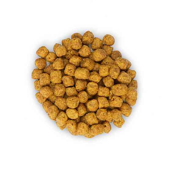 Hills SP Feline Mature Adult 7+ Sterilised Cat Chicken (Хиллс СП Филайн Матюр Эдалт 7+ Стерилисед) для котов 3 кг Запорожье