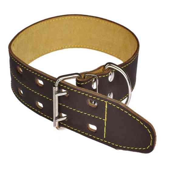 Нашийник 619 45 мм "Класик" шкіряний подвійний Вінниця