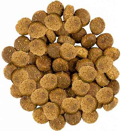 Сухой корм Сейвори Savory Medium Breed rich in Fresh Turkey & Lamb для собак средних пород, 1 кг Винница