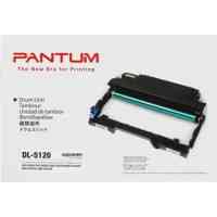 Драм картридж Pantum DL-5120 30K, BM5100ADN/BM5100ADW, BP5100DN/BP5100DW (DL-5120) Киев