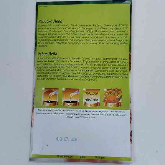 Редиска 
