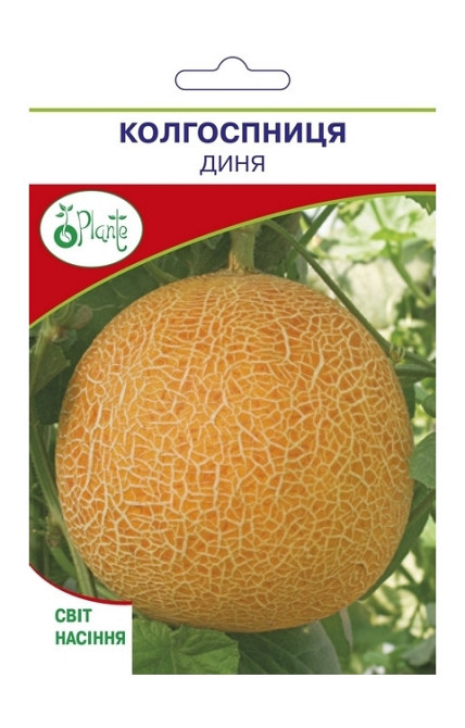 Насіння Диня рання Колгоспниця Київ - фото 1