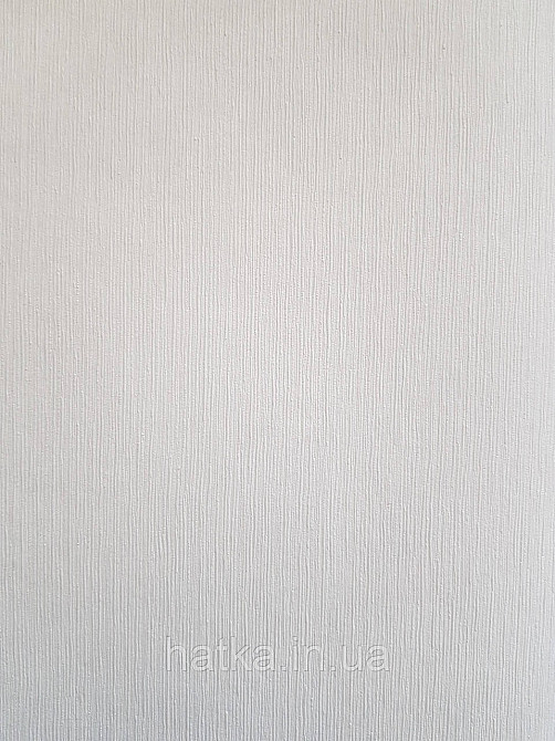 Шпалери метрові вінілові на флізеліні Sintra Structure тонка смужка матові світло-сірі 521328 Київ - фото 1