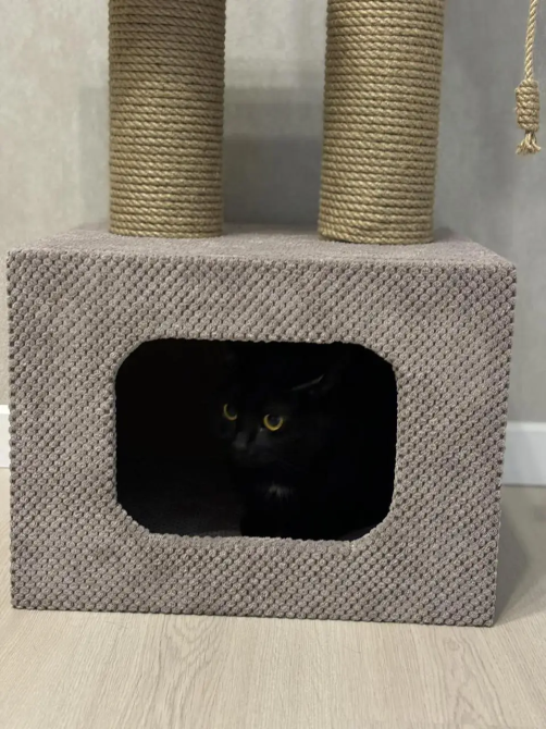 Домик когтеточка с лежанками для кота 75х40х40 см дряпка джутовая для кошек Киев - изображение 5