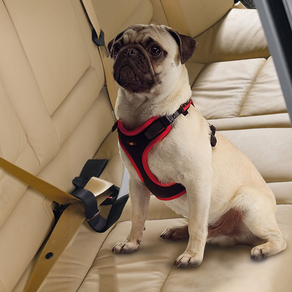 Ремінь безпеки для собак Ferplast Dog Travel Belt (Ферпласт Дог Тевел Белт) Запоріжжя - фото 2