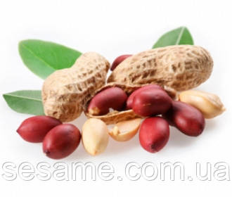 Арахис Свежий Отборной Орех Lac Nhan Thanh Thuy 500г Харьков - изображение 4