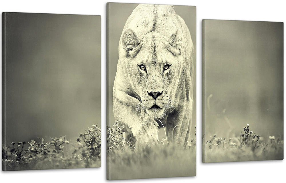 Модульная картина Природа Тигр Art-207_3 70x130 см Киев - изображение 1