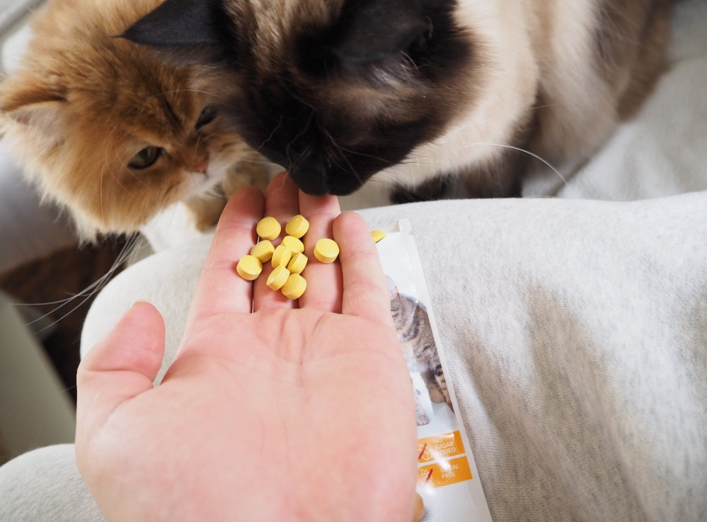 Витамизированные таблетки для кошек GimCat Kase Rollis сырные шарики, пауч, 425 г Винница - изображение 4