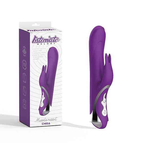 Вибратор-кролик Chisa Intimate Melody Missile Rabbit, фиолетовый Sex Aura Киев