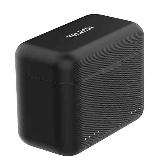 Зарядка Insta360 X3 два слоти закрита Telesin S0-BCG-03-TIS Київ