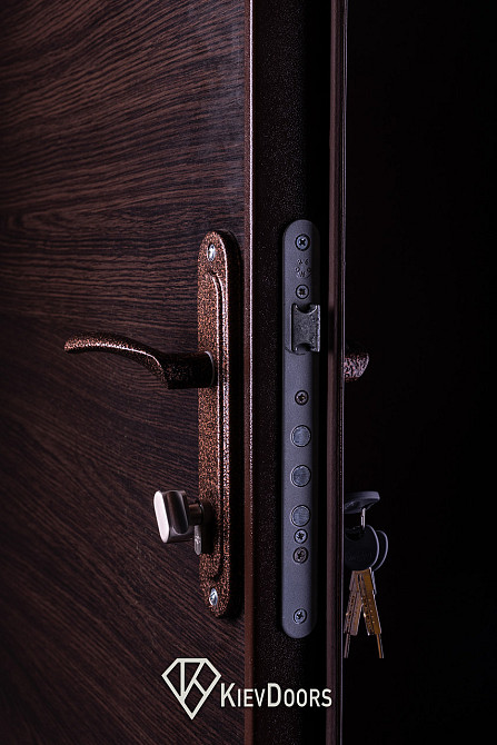 Двері Метал/ДСП, Шагрень 8017 зовні, всередині ДСП 16 мм, коробка 60 мм, полотно 50 Київ - фото 3