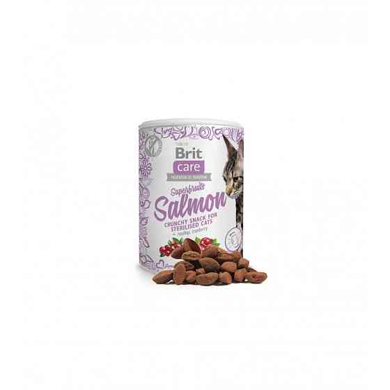 Лакомства для кошек Brit Care Cat Snack Superfruits Salmon, лосось, 100 г Винница