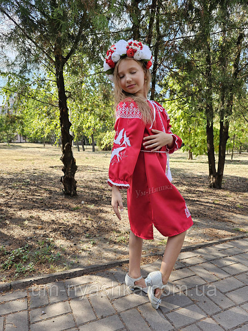 Платье вышиванка красное с ласточками 134-140 Кривой Рог - изображение 8