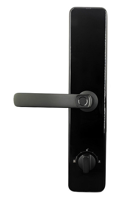 PES Collie чорний Київ - фото 6