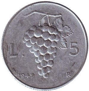 Гроно винограду. Монета 5 лір. 1949 рік, Італія. Полтава - фото 1