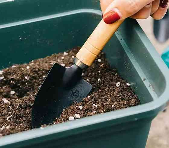 Мини-набор садовых инструментов 3 шт черный Киев