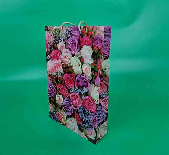 Большой бумажный пакет вертикальный  25/37/8(артBV-195) (12 шт) Харьков