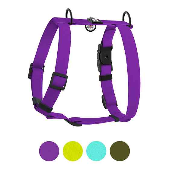 Шлея для собак водостійка анатомічна Н-подібна WAUDOG Magnet з QR-паспортом, магнітна пряжка-фастекс, L, Ш 25 мм, А 50-85 см, В 61-100 см, фіолетовий Київ