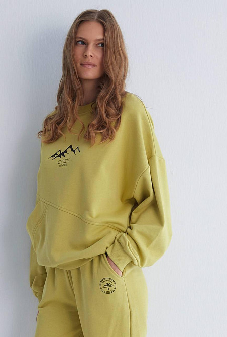 Женский прогулочный костюм двойка: кофта и штаны премиум качества футер диагональный 100% хлопок Оливка, 42 Одесса - изображение 8