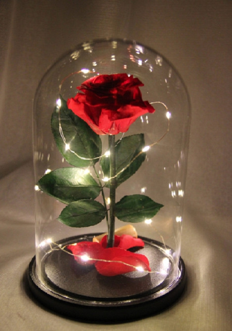 Роза червона в колбі з LED підсвічуванням Вінниця - фото 1