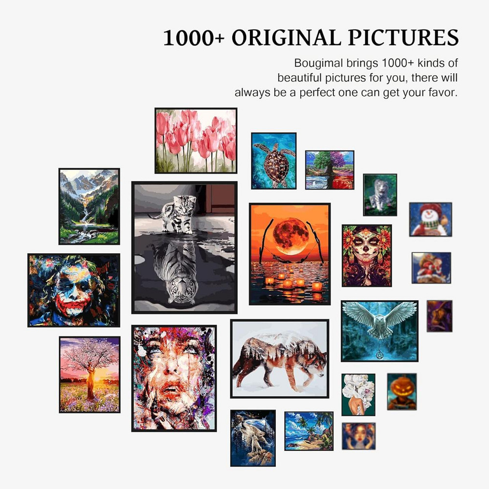 Картина по номерам Bougimal 