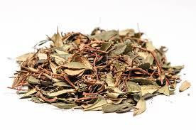 Зимолюбка зонтичная, 50г. MasterSEM Киев - изображение 1