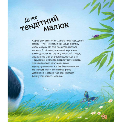 Книга Наймиліші малюки тварин - Алехандро Альґарра Vivat (9786171705302) Вінниця - фото 10