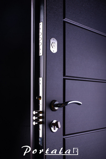 Двери квартирные, серия Люкс+Кале, модель Токио, гнутый профиль, коробка 100 мм, полотно 76 мм, Кале 850 Киев - изображение 2