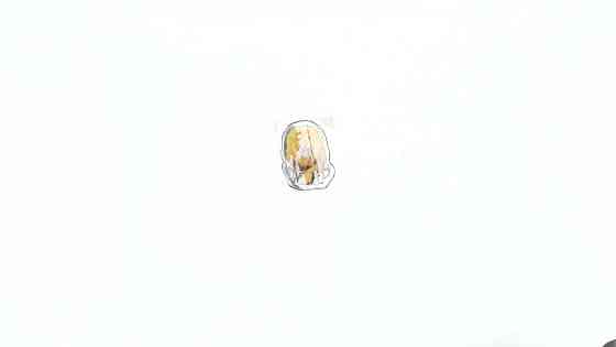 Наклейка декор LION (8х6см, силікон) (#SEA) Мукачево