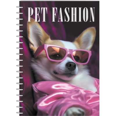 Блокнот Economix А5 пластиковая обложка, спираль, 80 листов, клетка (E21958-03) Винница - изображение 1