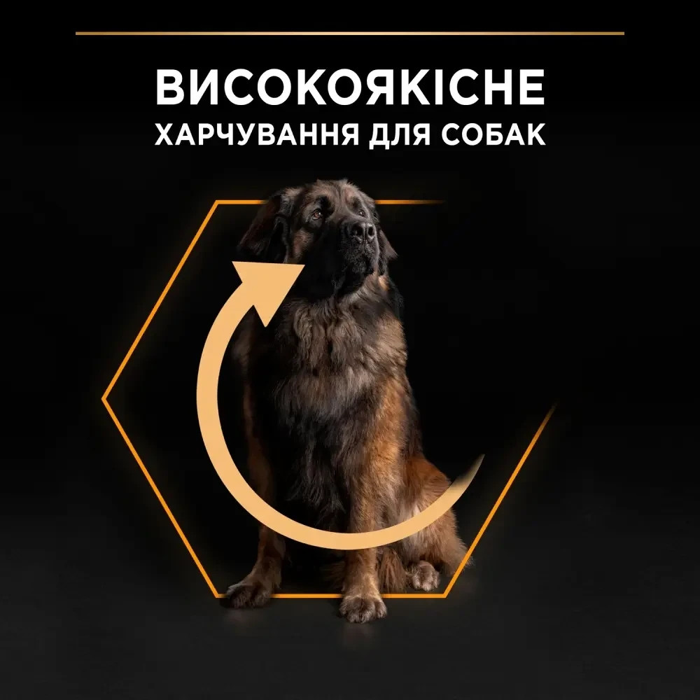 Сухой корм PRO PLAN Large Robust Adult 2+ Everyday Nutrion для взрослых собак больших пород массивного телосложения, с курицей, 14 кг Киев - изображение 6