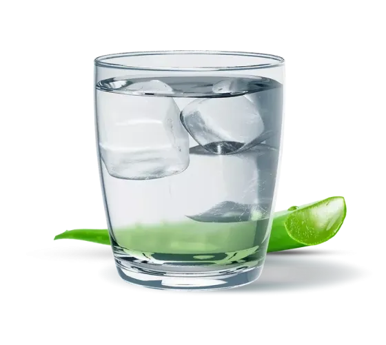 Алое класичний Рослинний концентрат Гербалайф Напій для Травлення, 473 мл Напій на Основі Алое Дніпро