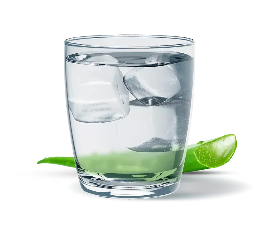 Алое класичний Рослинний концентрат Гербалайф Напій для Травлення, 473 мл Напій на Основі Алое Дніпро - фото 3