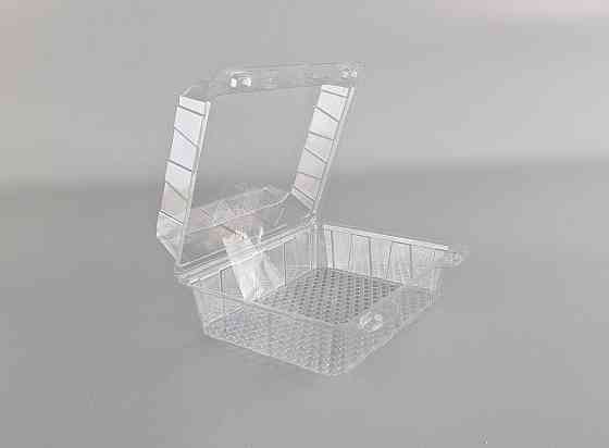 Контейнер пластиковий з відкидною кришкою AS-97/125/48 V=250 (50 шт) Харків