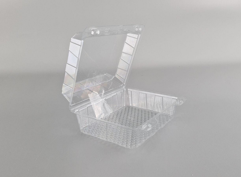 Контейнер пластиковий з відкидною кришкою AS-97/125/48 V=250 (50 шт) Харків - фото 2