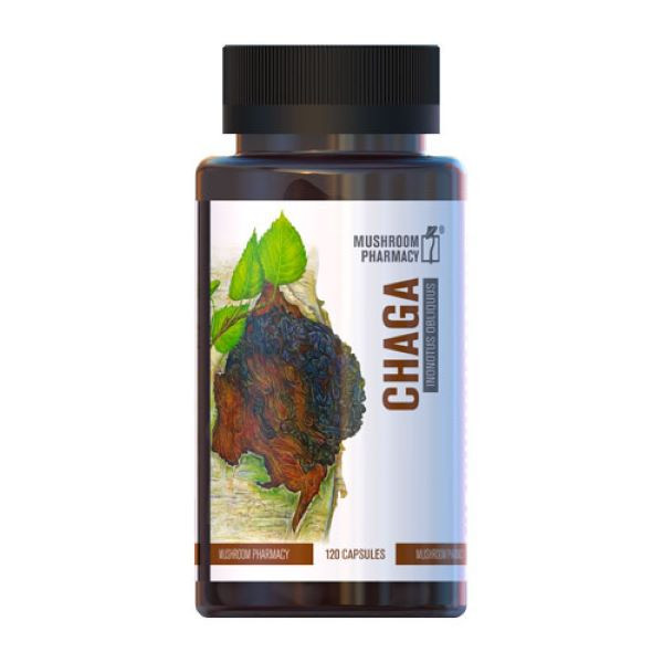 Гриб Чага ФітоБіоТехнології капсули 120шт Луцьк - фото 1