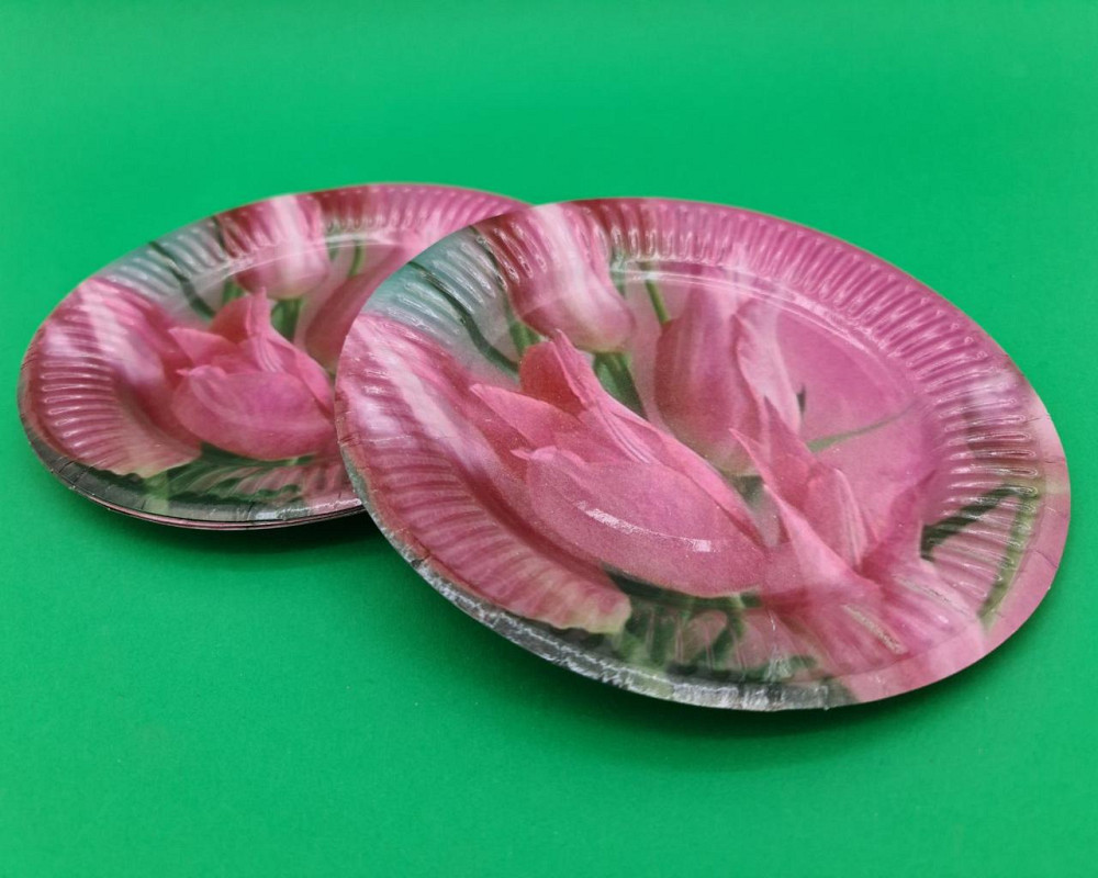 Бумажная тарелка с рисунком  18см