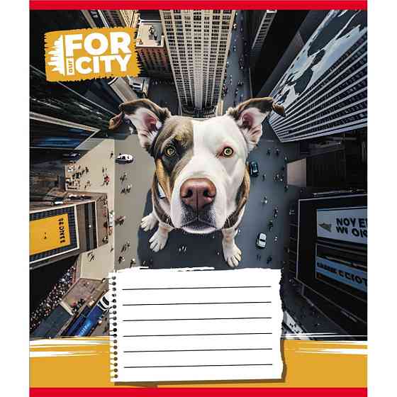 Зошит учнівський "Собака в місті" 024-560077L-3 в лінію, 24 аркуші Вінниця