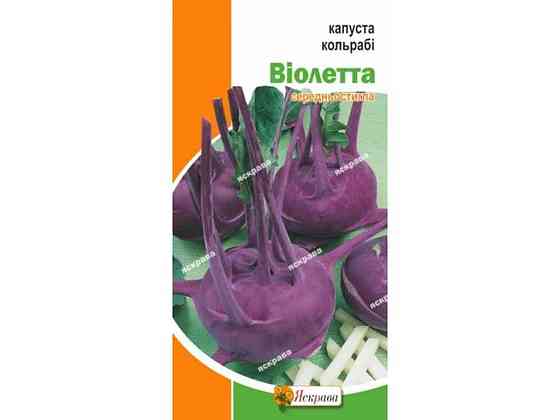 Капуста кольраби Виолетта (20 пачек) 0,5г ТМ ЯСКРАВА Киев