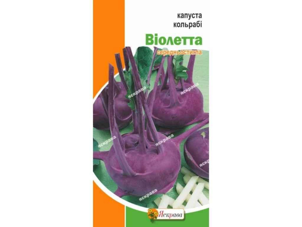 Капуста кольрабі Віолета (20 пачок) 0,5г ТМ ЯСКРАВА Київ - фото 1