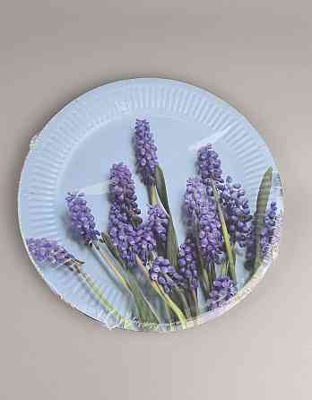 Тарілка паперова 23 см "No63 10 шт (1 пачка) Харків