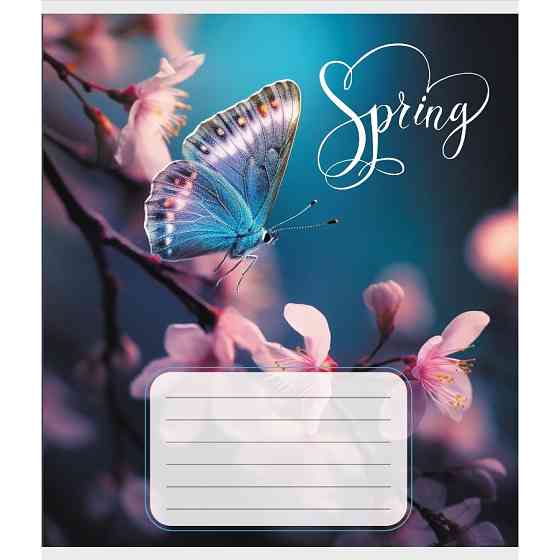 Тетрадь ученическая 