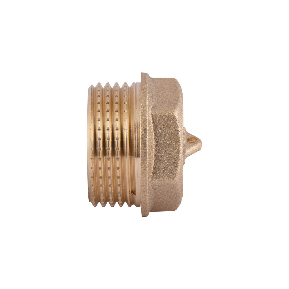 Заглушка Thermo Alliance Standart 3/4" НР SD40320 Київ - фото 8