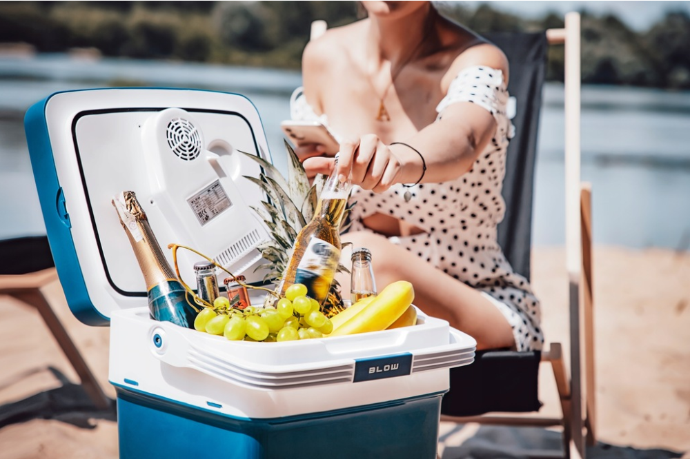 Автохолодильник BLOW 12В 230В 32Л (Польша) Киев - изображение 9