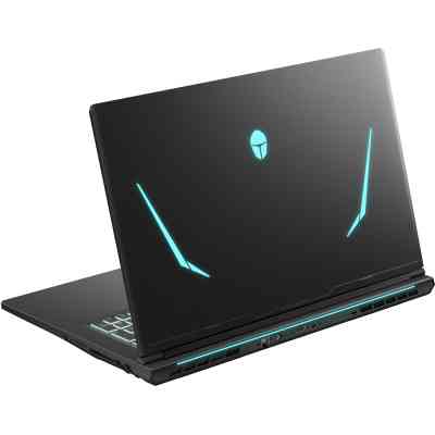 Ноутбук Thunderobot 911 X17 (911X17-i7136H56C1Q165MB) Вінниця