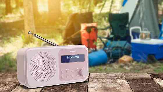 Портативное цифровое радио SHARP с Bluetooth 5.0, DAB+/FM, будильником, USB/батарея, радиоприемник розовый Киев