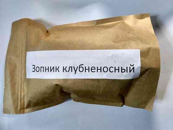 Зопник клубненосный (Железняк бульбистий) 100г master sem Киев