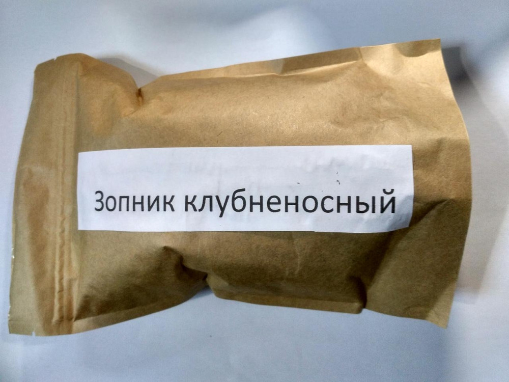 Зопник клубненосный (Железняк бульбистий) 100г master sem Киев - изображение 4