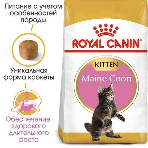 Royal Canin Maine Coon Kitten (Роял Канин Киттен мейн кун) сухой корм для котят 2 кг. Запорожье